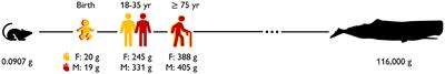 Sex Matters: A Comprehensive Comparison of Female and Male Hearts